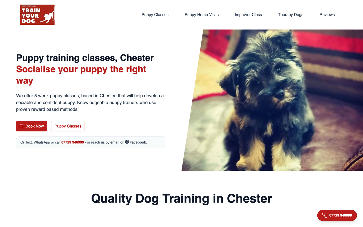 Kerry Attwood — Train Your Dog — a site I designed and built